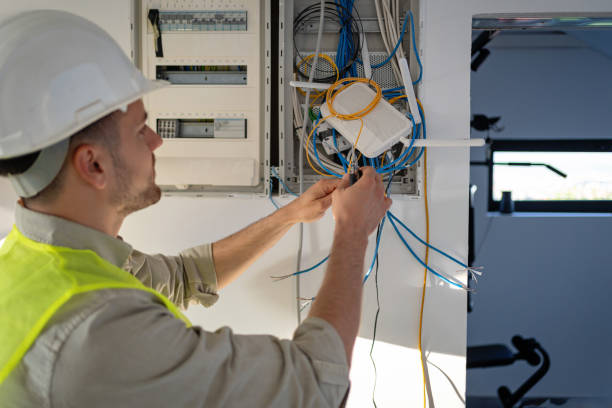Best Electric Panel Repair  in Fabens, TX
